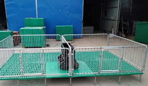 全國政協(xié)副主席李金華參加第十六屆中國質(zhì)量高層論壇并講話